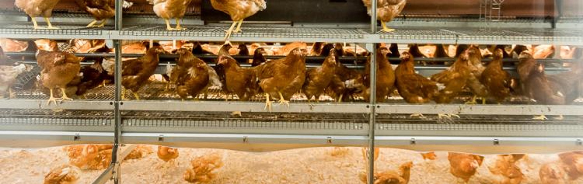 Innovatief onderwijs trekt toekomstige vakmensen